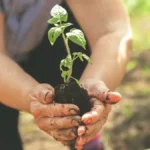 ADM agricultura regenerativa suelos resilientes México