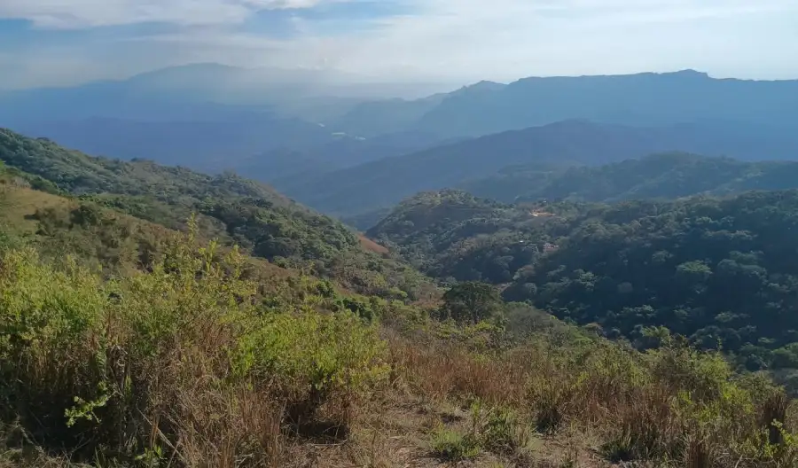 Conservación forestal Philip Morris Nayarit biodiversidad