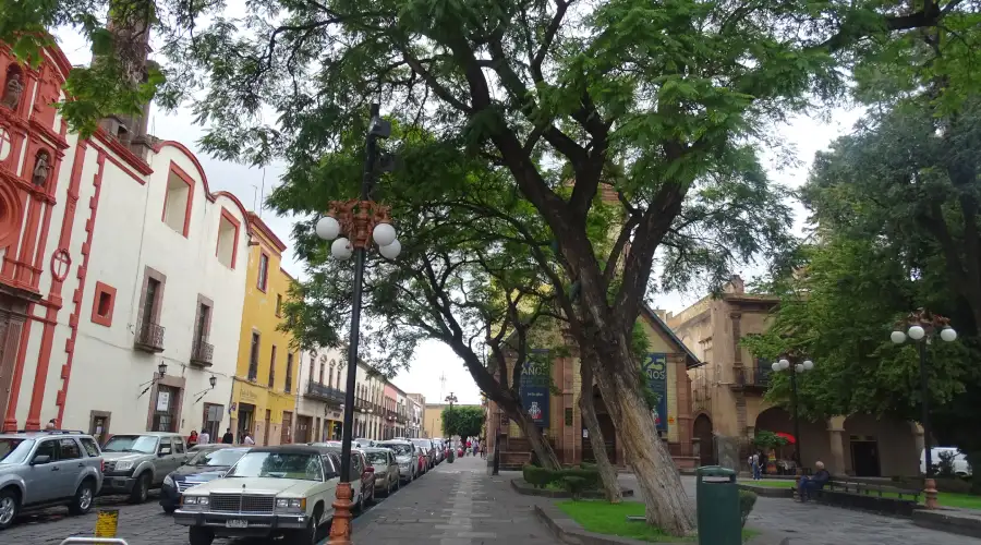 México líder Ciudad Árbol del Mundo 2025