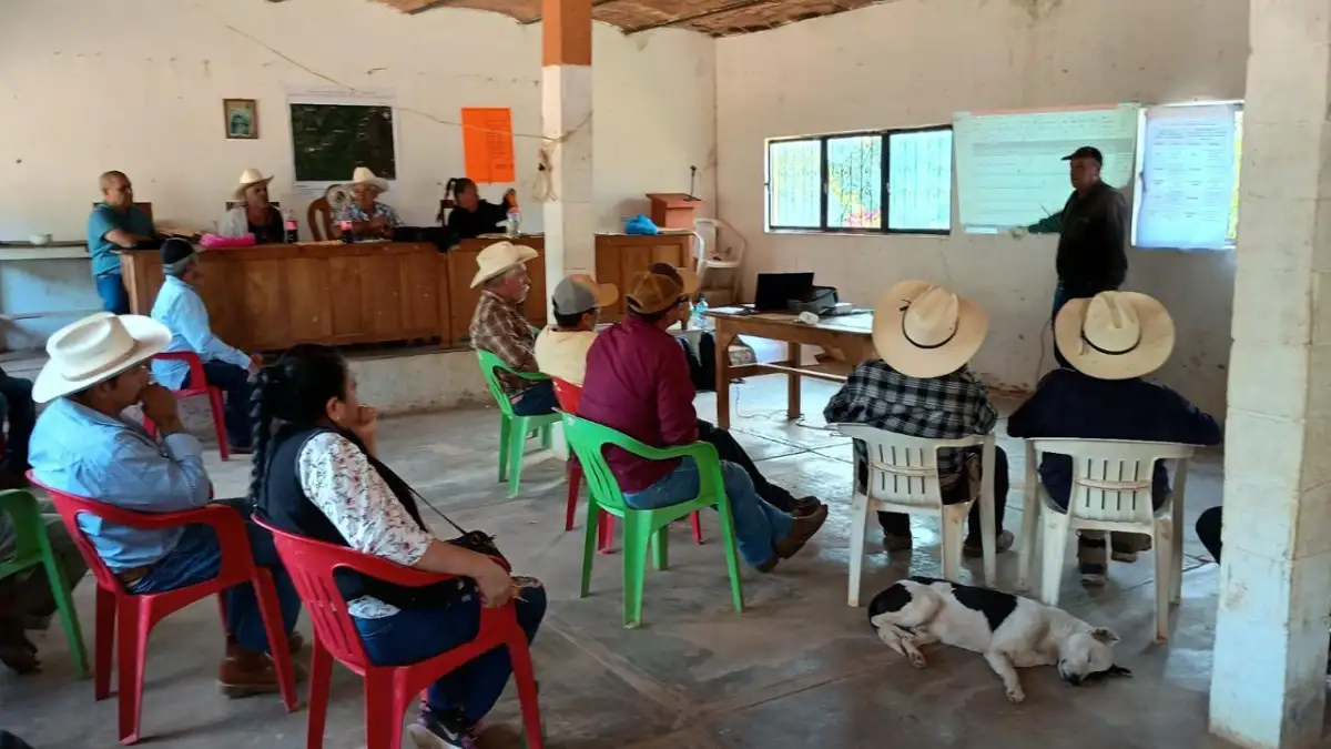 Philip Morris México sustentabilidad forestal Nayarit