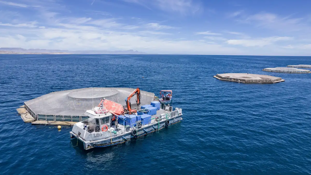 antomar sostenibilidad acuacultura responsable océanos