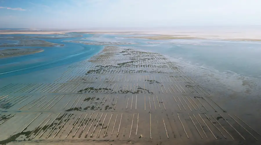 Santomar acuacultura responsable Mar de Cortés