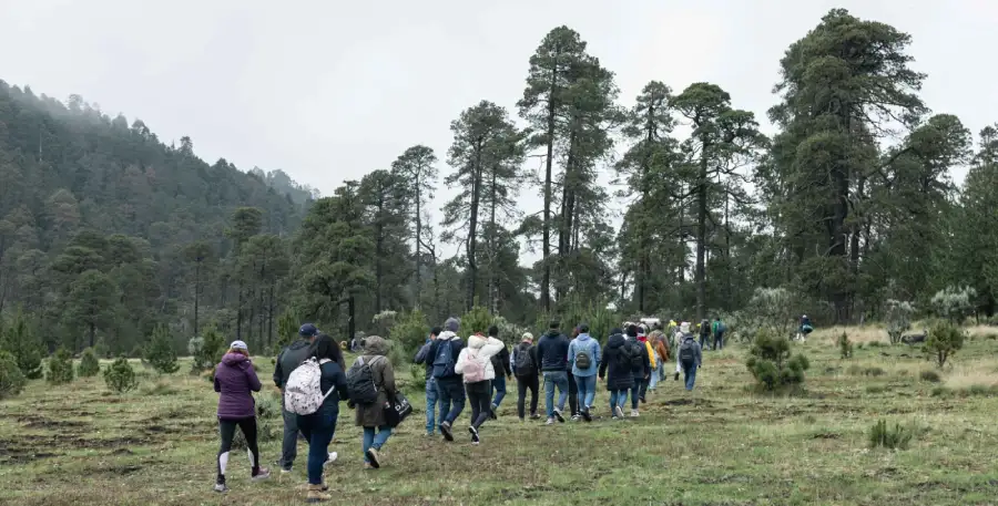 Alianza empresarial para restauración forestal