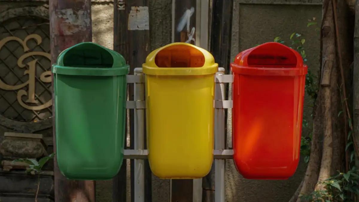 Estrategias de bioplásticos compostables México
