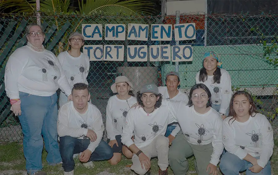voluntarios cotemar liberan tortugas marinas