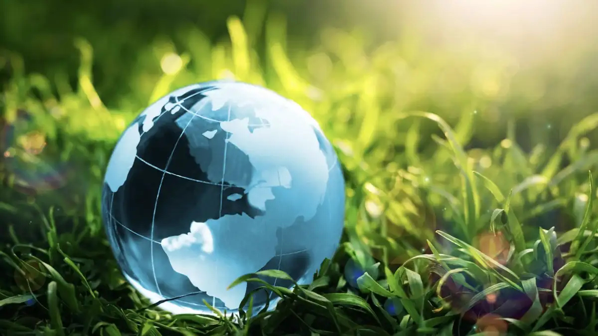 ECOCE acciones ambientales economía circular