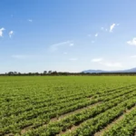 pepsico méxico estrategia sostenibilidad agrícola