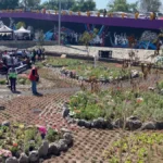 Infraestructura verde de Coca-Cola México en Coapa