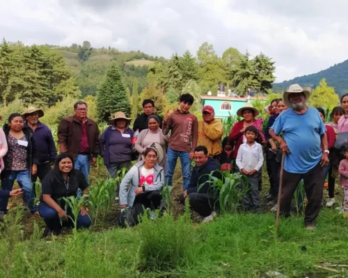 agricultoras trabajando tierras mexicanas sostenibles