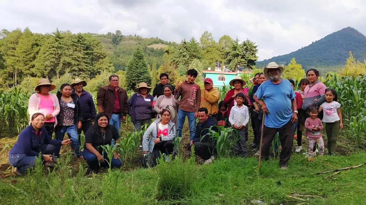 agricultoras trabajando tierras mexicanas sostenibles